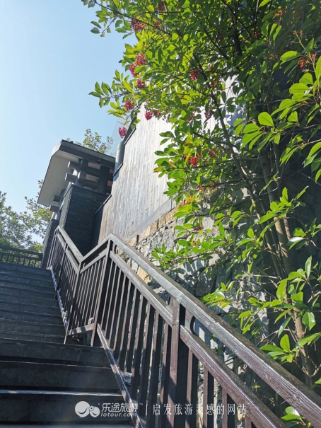 张家界森林公园自由行住宿推荐,张家界国家森林公园旅游住宿攻略