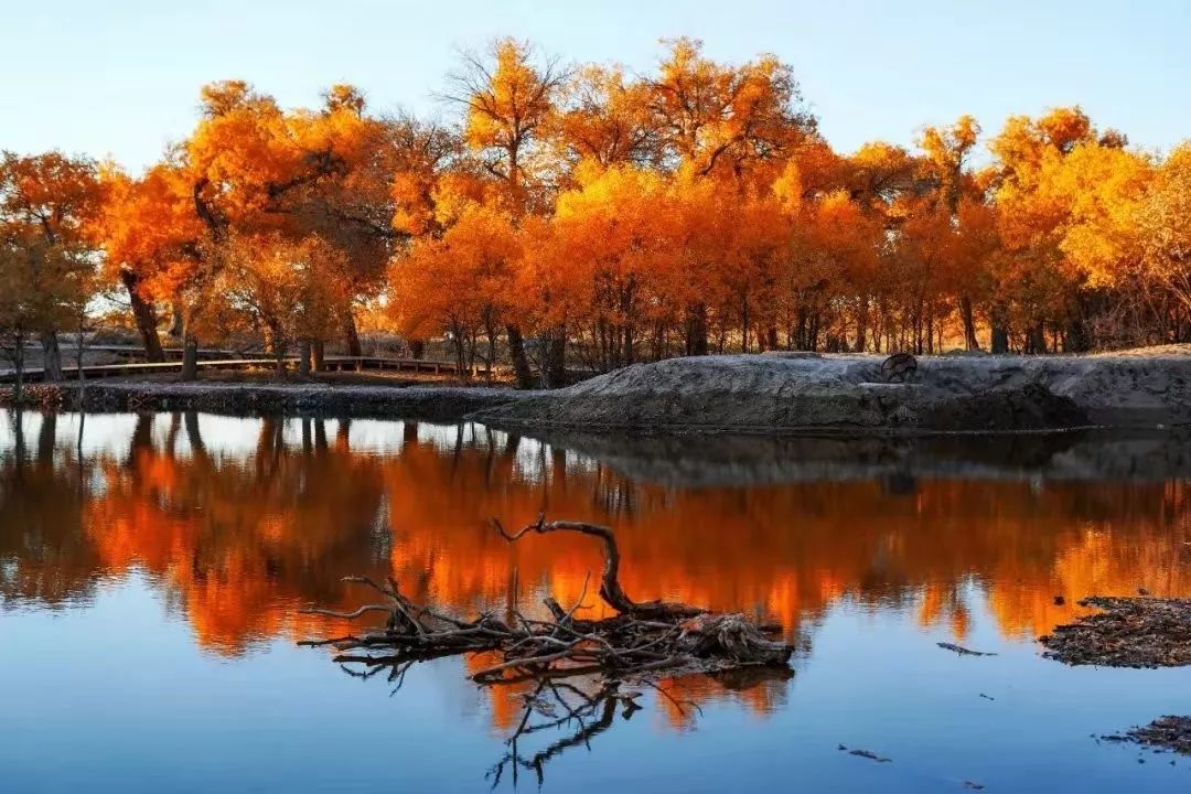 包头去额济纳胡杨林攻略,广州到额济纳胡杨林攻略