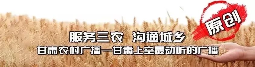 伪装者刺杀明楼目的是为杀叛徒,伪装者电视剧明台刺杀明楼后对话
