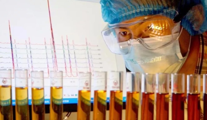 帝泊洱首创普洱茶图片,今年的帝泊洱茶卖得怎么样