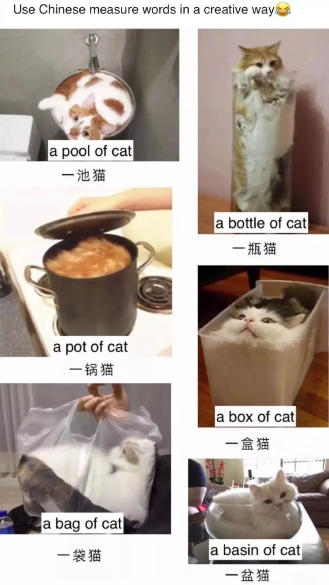 外国人学中文的心酸血泪史,盘点外国人被中文逼疯