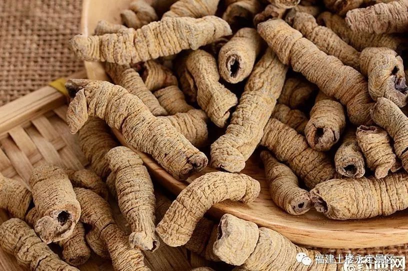 「欢度国庆」永定土楼第六届柿子丰收节完整游玩攻略来了