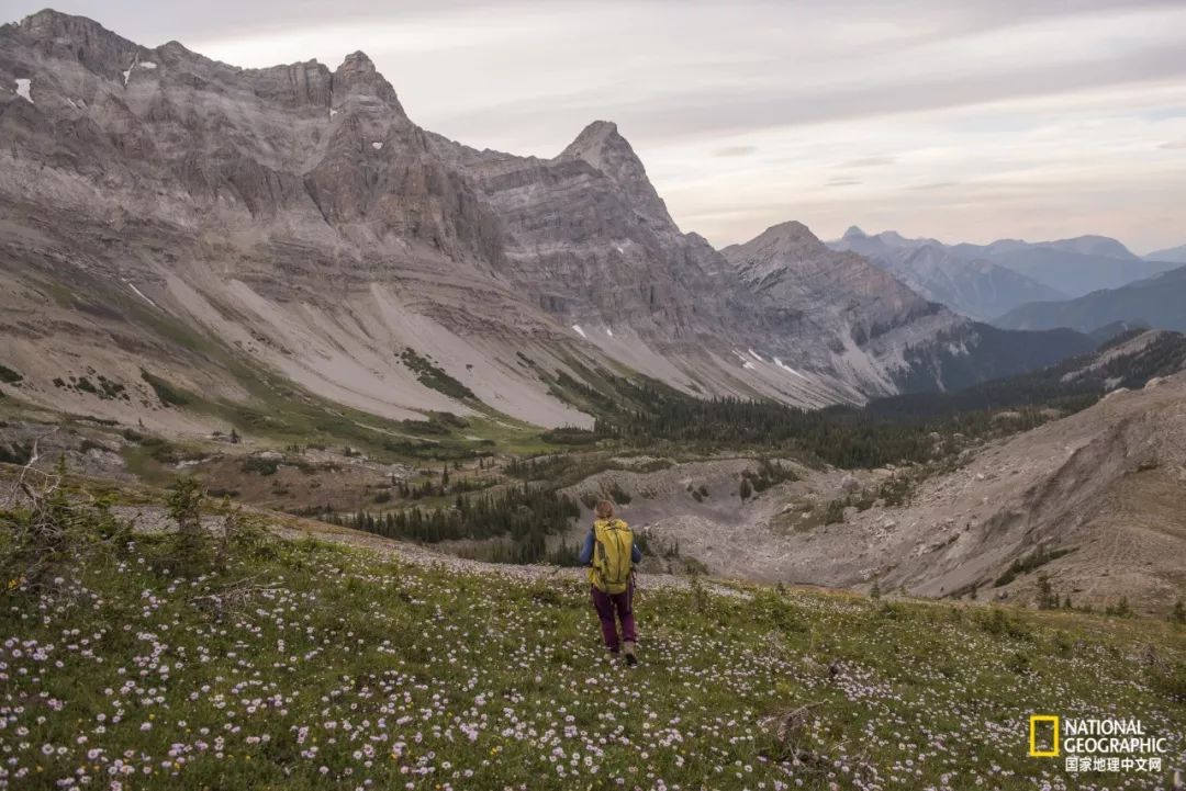 去加拿大必去景点有哪些地方,在加拿大10月中旬旅游地点推荐
