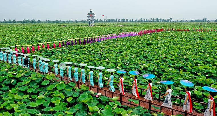 培育农业产业新动能新活力新业态,壮大特色产业激发现代农业活力