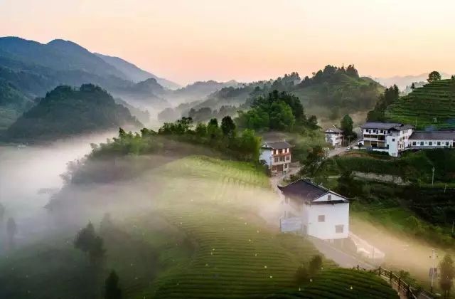 买它!谢谢你,为宣恩拼过单