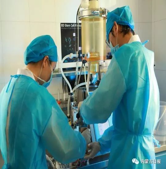 内蒙古医科大学附属医院：深耕学科建设，为“健康内蒙古”提供强有力保障