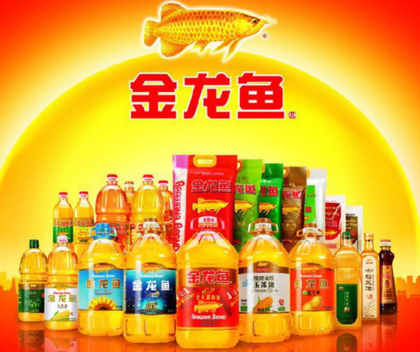 第10个世界冠军！中国女排再次打哭观众，太平洋保险和腾讯们却笑了，揭秘女排身后的粉丝经济