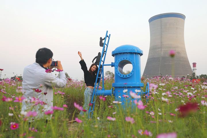 太金贵了钱塘百亩花海惊艳绽放,杭州千亩花海惊艳亮相