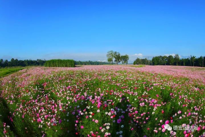 国庆云南德宏,德宏国庆放假时间安排2020