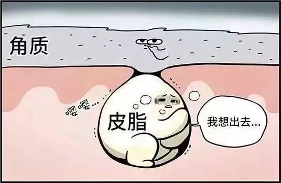 去黑头角质平价水乳,去黑头日本洗面奶