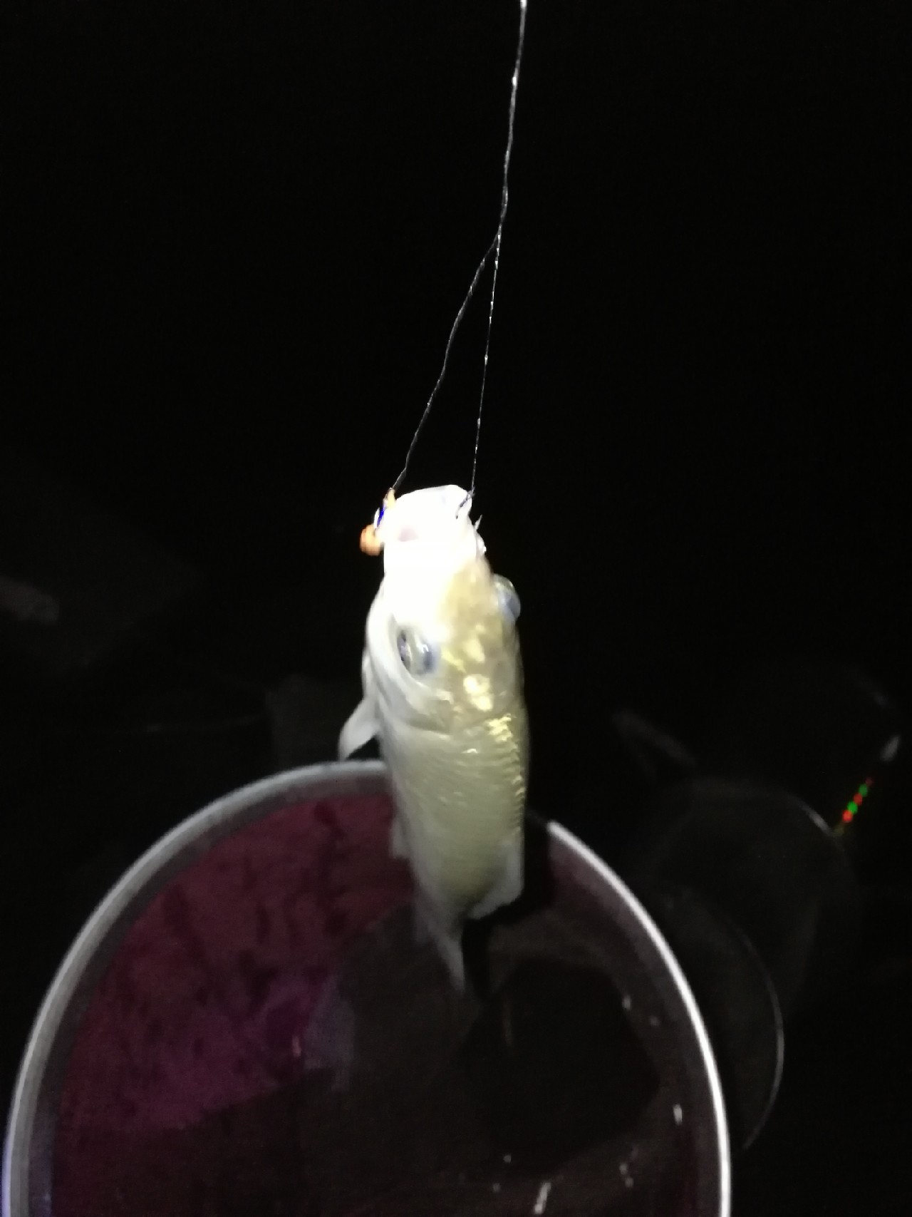 调整军事战略方针,调整战术与战略