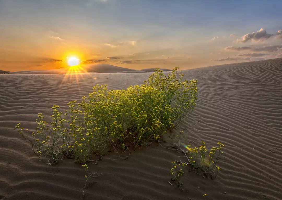 十一旅游必去景点推荐沙漠草原,十一沙漠旅游推荐