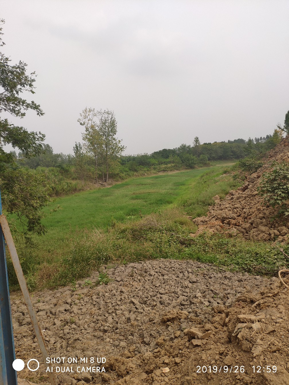 打黑中鱼率,打黑用什么饵中鱼率高