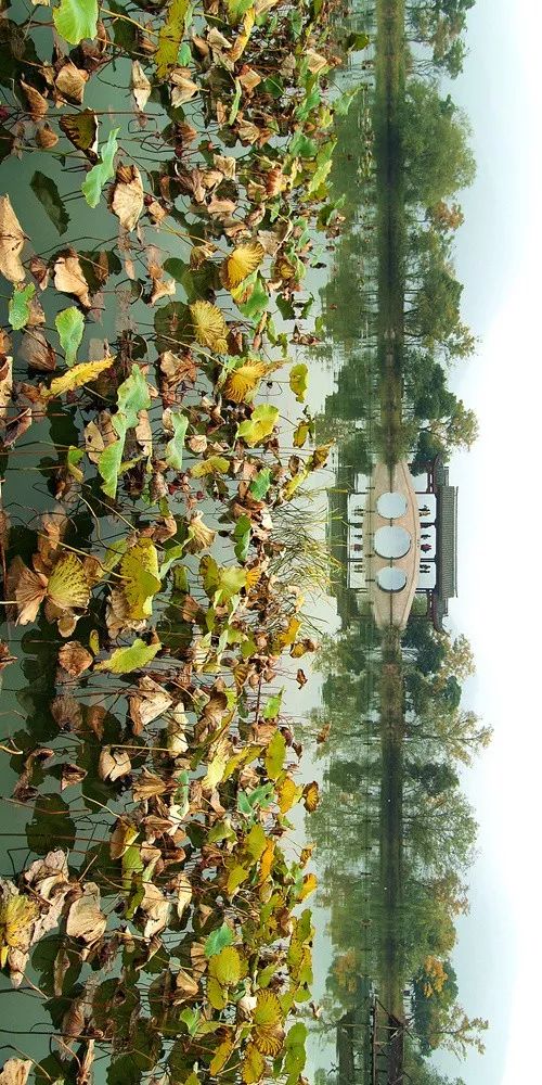 湘湖现在是什么样的,湘湖现在是什么样