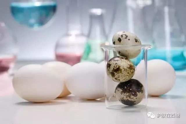 如何祛色斑推荐护肤品,这几个护肤小习惯可以淡化色斑