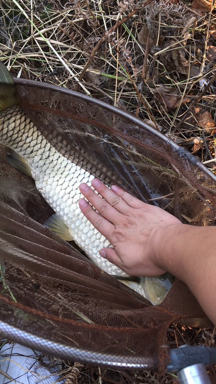 假期回家阖家欢乐,假期来郊外玩心情美美哒