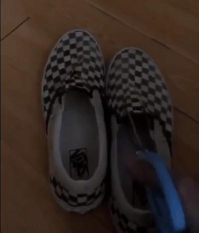 vans鞋是真的吗,vans鞋子为什么很难看