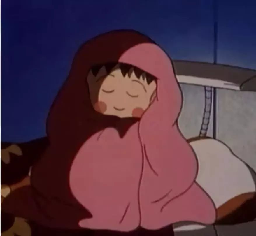 羽绒被羊毛被蚕丝被棉被哪一种好,羽绒被蚕丝被羊毛被棉被哪个更好