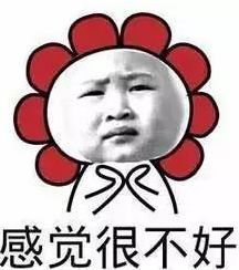 石嘴山就业局最近招聘,石嘴山市聘用编制待遇