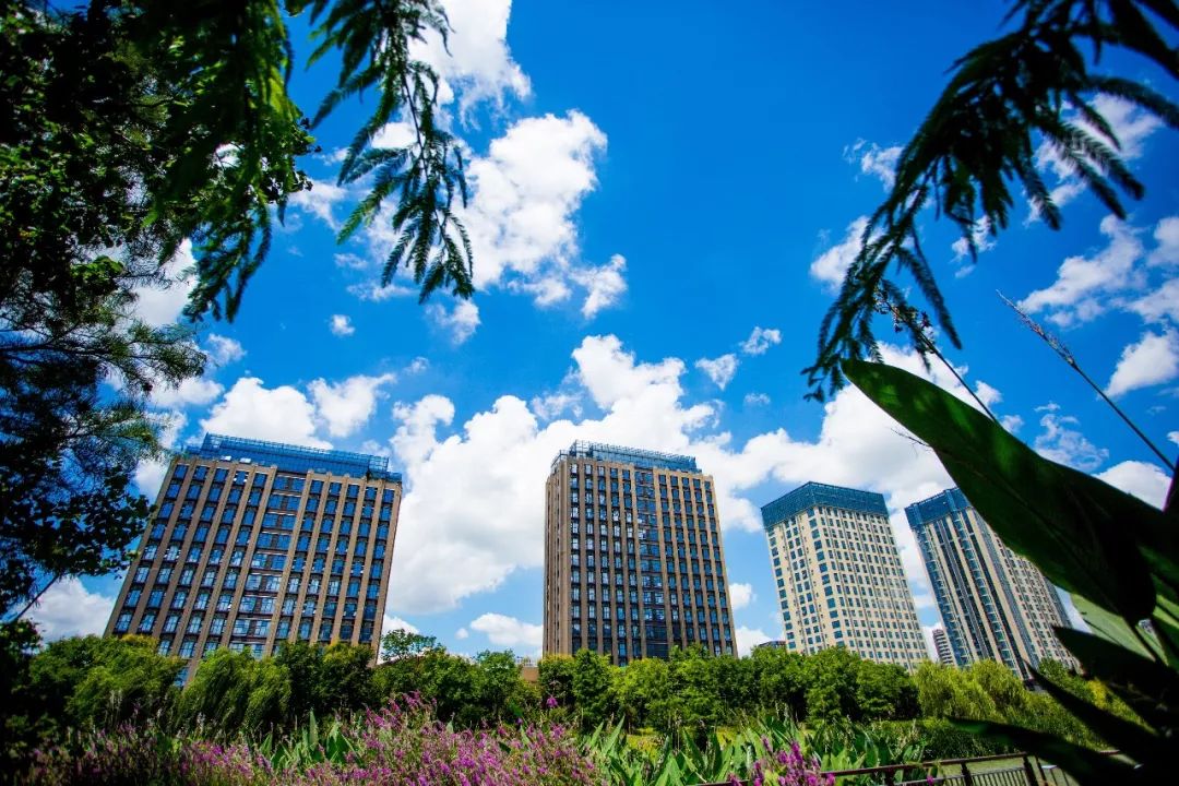 上海松江新城发展,上海松江美丽新城