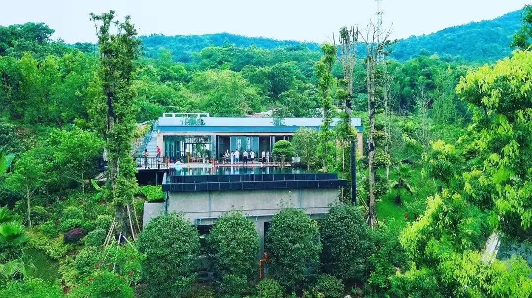 国庆黄金周，青白江接待游客56.89万人次！