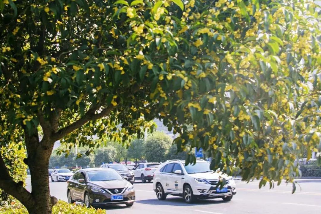 中国温泉之首,中国十大温泉之都