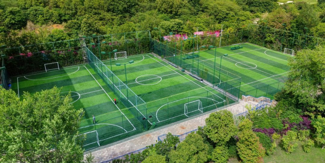 成都首座专业足球场,成都将建12个专业足球场