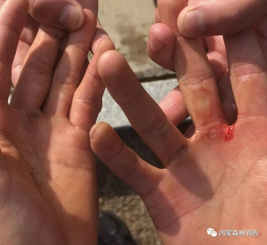 森林消防员主题教育学习心得体会,森林消防队伍如何强化使命责任感