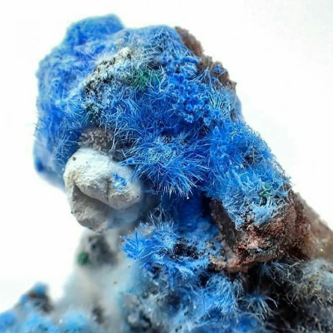 谁还不是个小可爱呢下一句,谁还不是小可爱