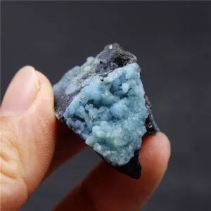 谁还不是个小可爱呢下一句,谁还不是小可爱