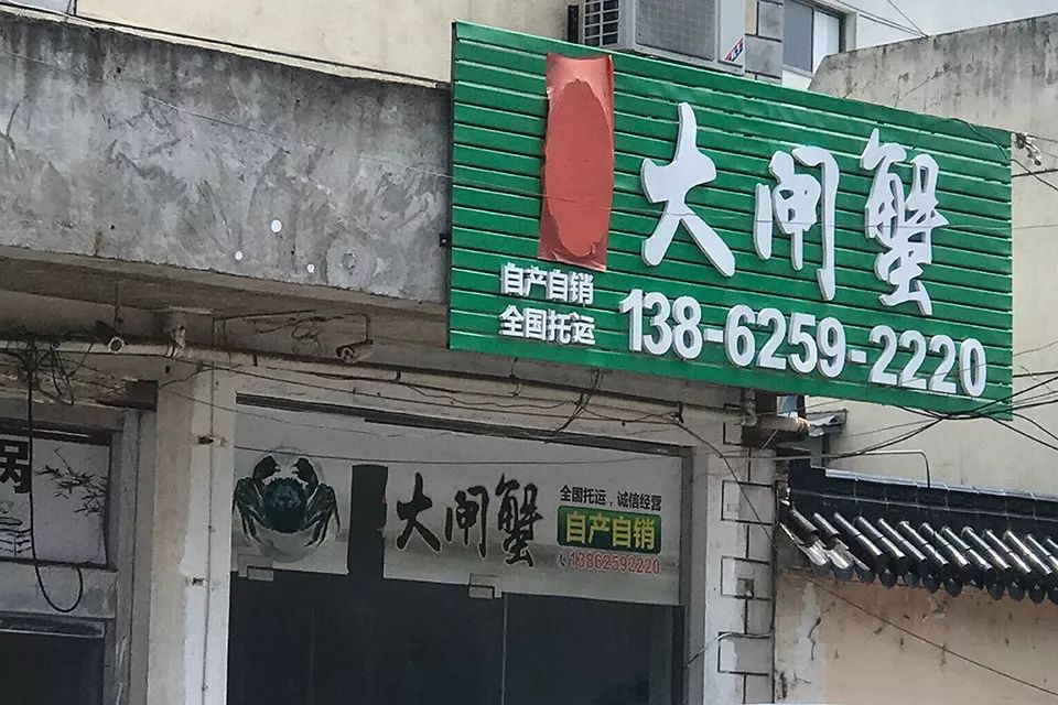 阳澄湖围网养殖,阳澄湖养螃蟹围网