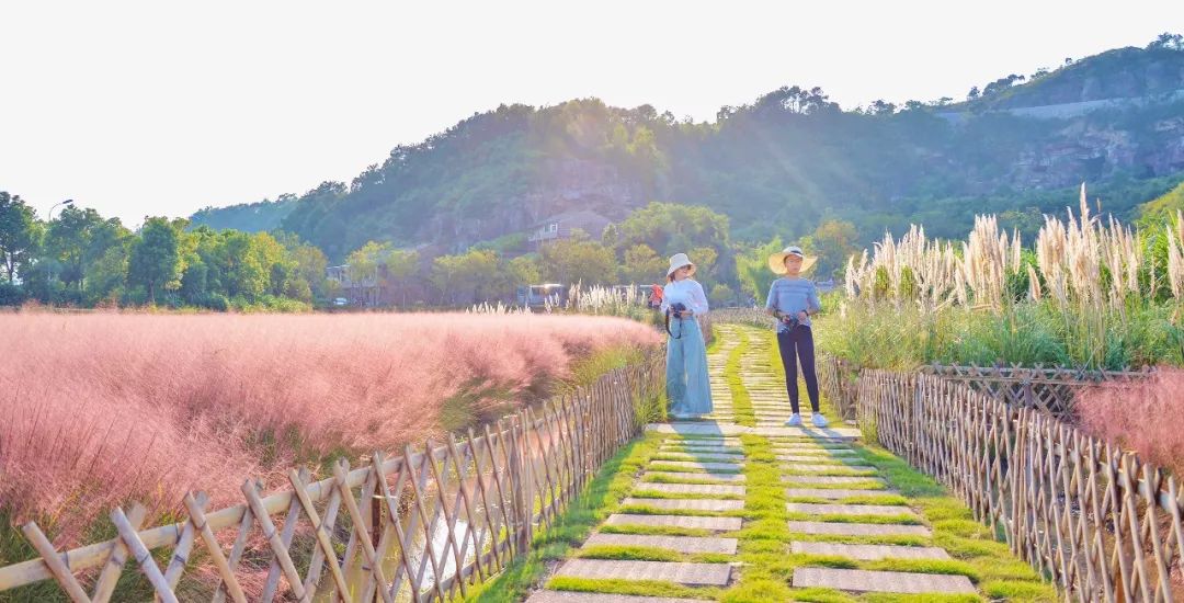 四月浙江最美花海,浙北绝美风光