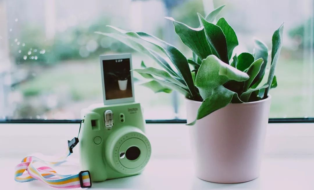 谈一谈你对中化map企业文化的认识,中化企业文化是什么