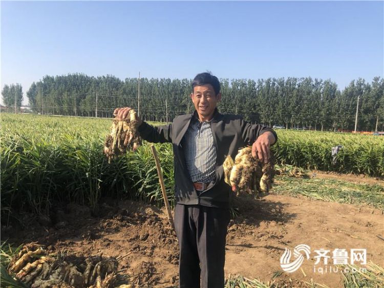 潍坊农业转型升级,潍坊农业农村规划