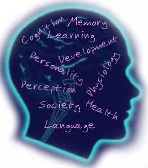 你真的适合做咨询吗,双鱼座适合学心理咨询师吗