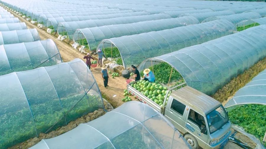 姹犲窞鐢熸椿璁板綍,姹犲窞娓哥帺鏃ヨ