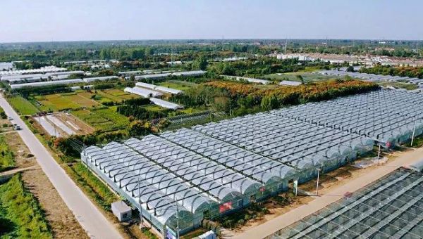 新华日报点赞沭阳,新华日报聚焦