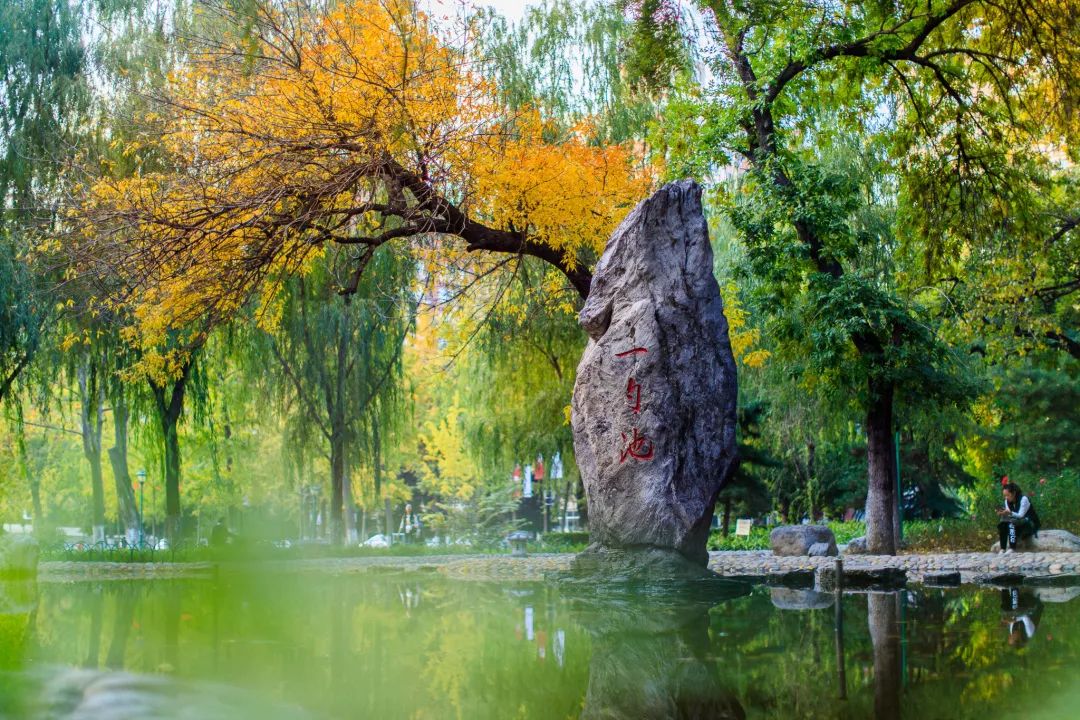 中国人民大学2020年博士研究生招生简章