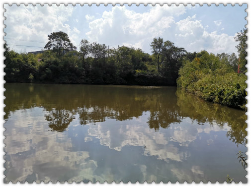 閲庢垬钃濋搏閽撻奔,閲庢垬钃濋搏