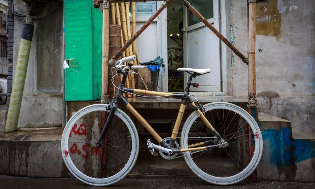 竹子的优点有哪些,竹子很有营养吗