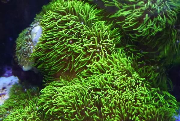 这是人家十年前的缸？我这些年瞎玩了……