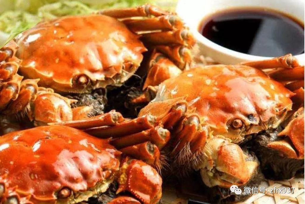 b类屠宰场需要关闭吗,屠宰场不规范有什么处罚