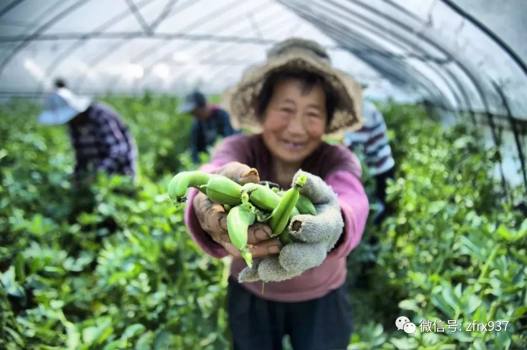 b类屠宰场需要关闭吗,屠宰场不规范有什么处罚