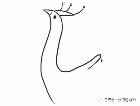 二年级孔雀简笔画简单又好看,叶罗丽孔雀简笔画简单又漂亮