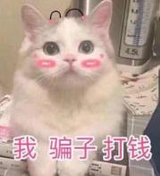 专门诈骗中年女性的套路,中年女人骗钱的套路视频