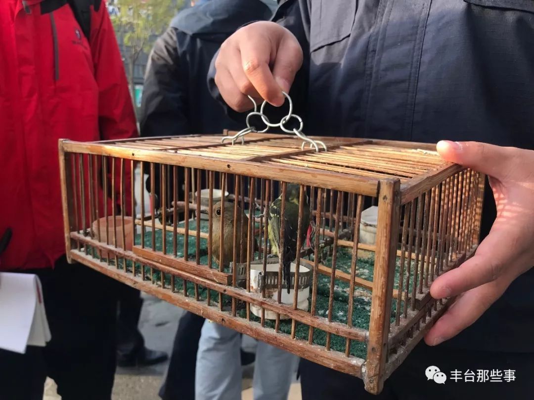 别跑！丰台这条路上买卖野生鸟的，今天被逮个现行