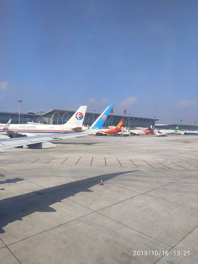 神秘西夏全域旅游,十一银川免费一日游推荐