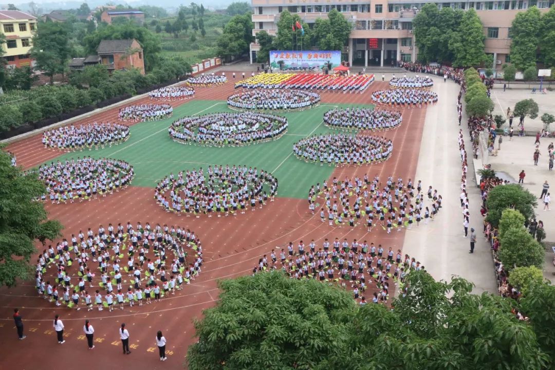 马路对面是学校环境怎么样,马路对面学校真实照片