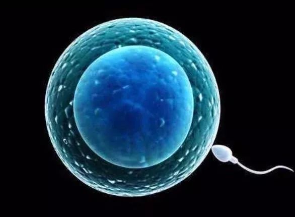 不孕不育占正常人比例,不孕不育一半以上原因在男性