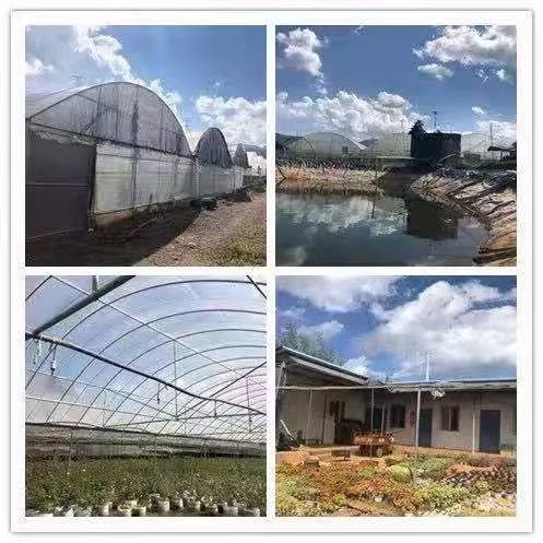 丽江市投资促进局,丽江市古城区投资促进局